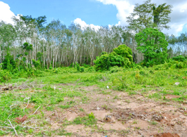 Land Sale 35-1-02.4 Rai