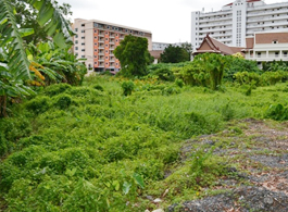 Land Sale 2-3-60 Rai