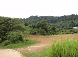 Land Sale 3-1-42 Rai