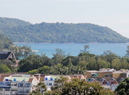 Land Sale 3-1-0 Rai