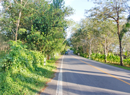 Land Sale 42 Rai