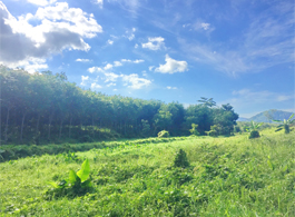 Land Sale 25-0-54.1 Rai