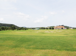 Land Sale 55-1-76.8 Rai