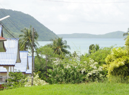 Land Sale 4 Rai
