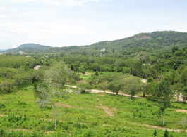 Land Sale 104 Rai