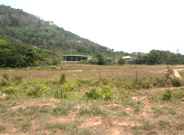 Land Sale 52-2-51 Rai