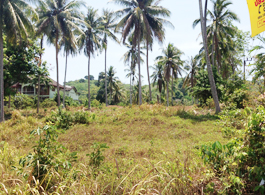 Land Sale 3-0-47.4 Rai