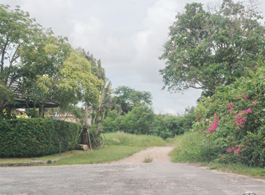 Land Sale 75 Rai