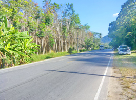 Land Sale 216-1-37.5 Rai