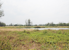 Land Sale 139-0-71 Rai