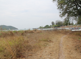 Land Sale 1-1-31.5 Rai