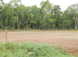Land Sale 25-3-29 Rai