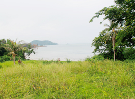 Land Sale 8-2-28.6 Rai
