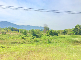 Land Sale 49-1-70.3 Rai