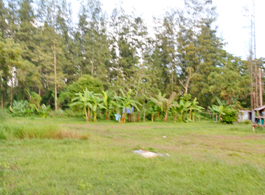 Land Sale 133-3-21 Rai