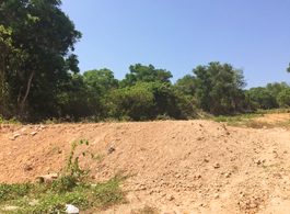 Land Sale 37-0-20.7 Rai