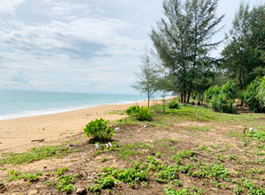 Land Sale 13-2-60.5 Rai