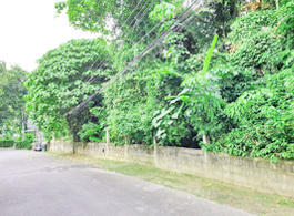 Land Sale 2-0-19.5 Rai