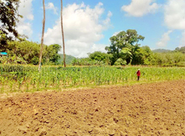 Land Sale 102-2-40.5 Rai