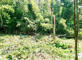 Land Sale 2-0-69.1 Rai