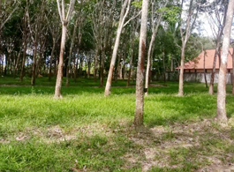 Land Sale 6-0-25.7 Rai