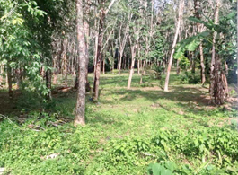 Land Sale 22-1-37 Rai