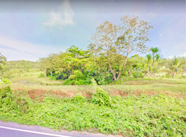 Land Sale 10-0-00 Rai