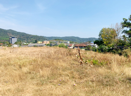 Land Sale 43-2-42 Rai
