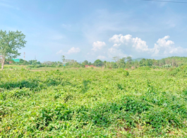 Land Sale 1-0-00 Rai